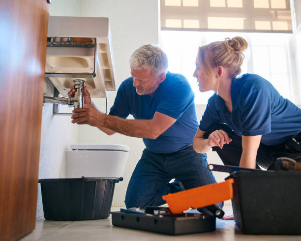 Best Water Softener Installation  in Kurtistown, HI